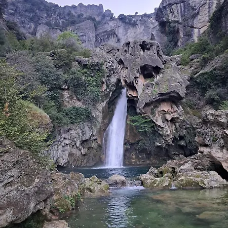 El Madronal *