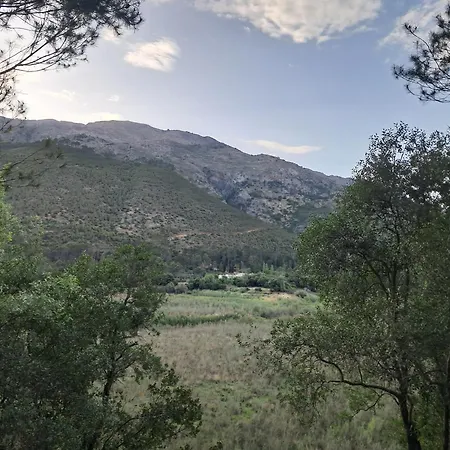 El Madronal *